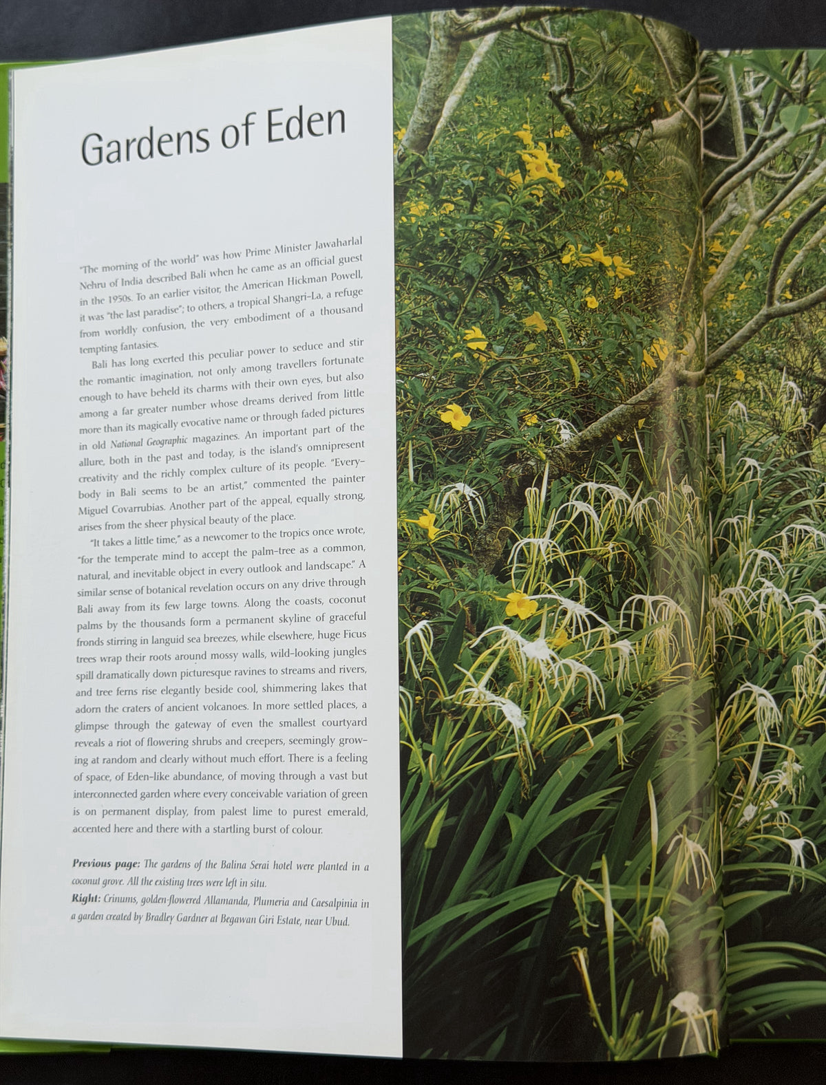 Balinese Gardens by William Warren