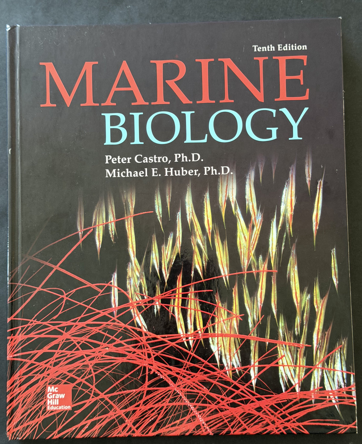 Marine Biology by Peter Castro, Michael E. Huber, Mike Huber