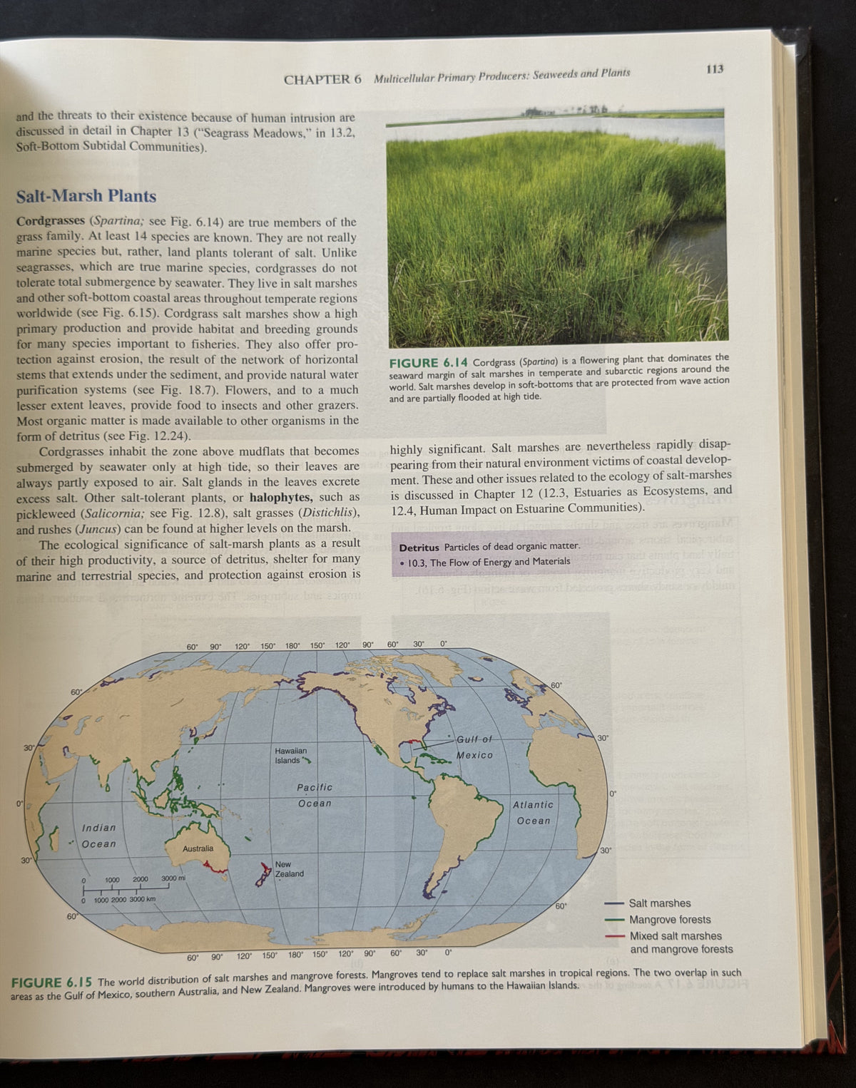 Marine Biology by Peter Castro, Michael E. Huber, Mike Huber