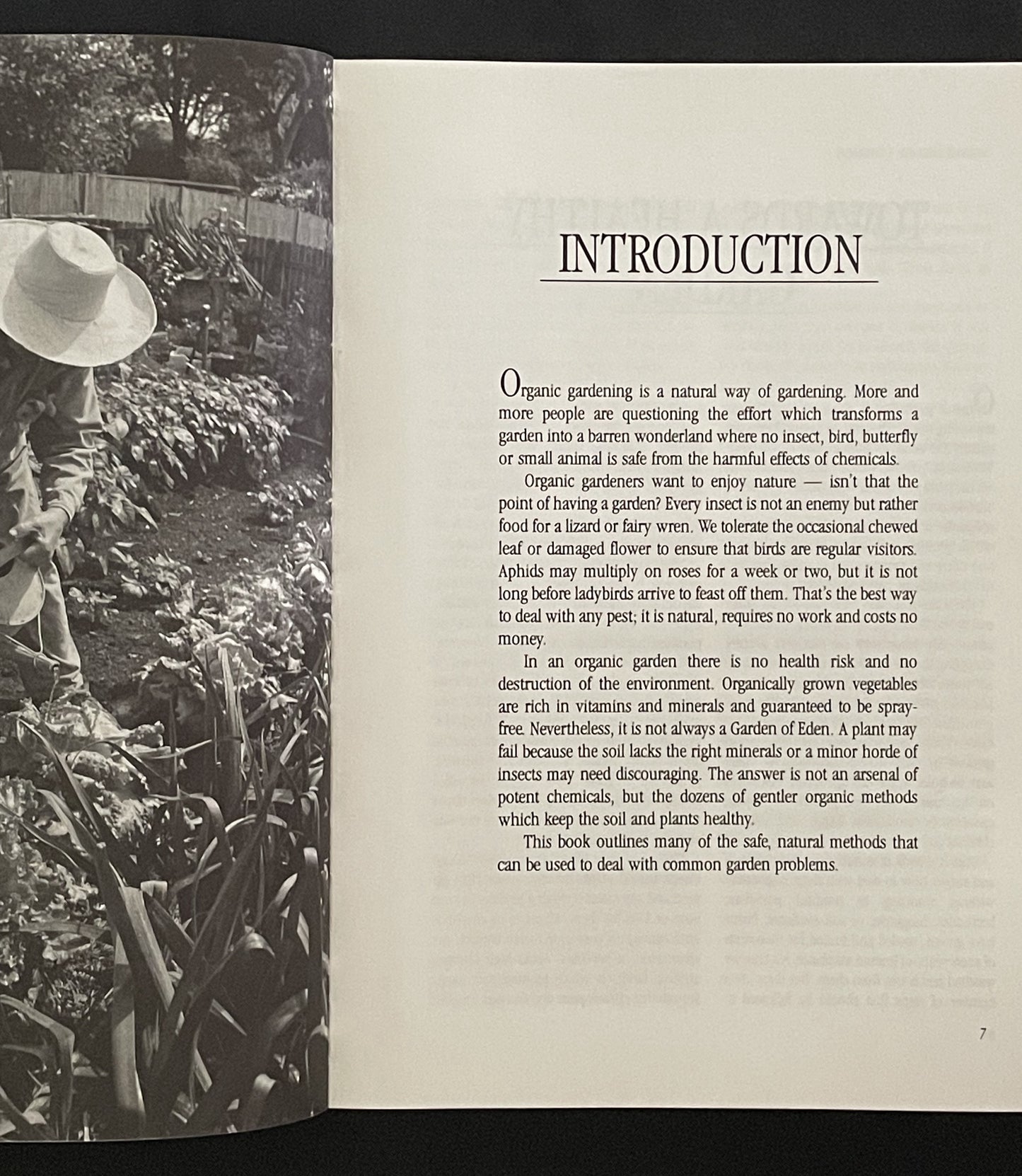 The Organic Garden Doctor by Jackie French