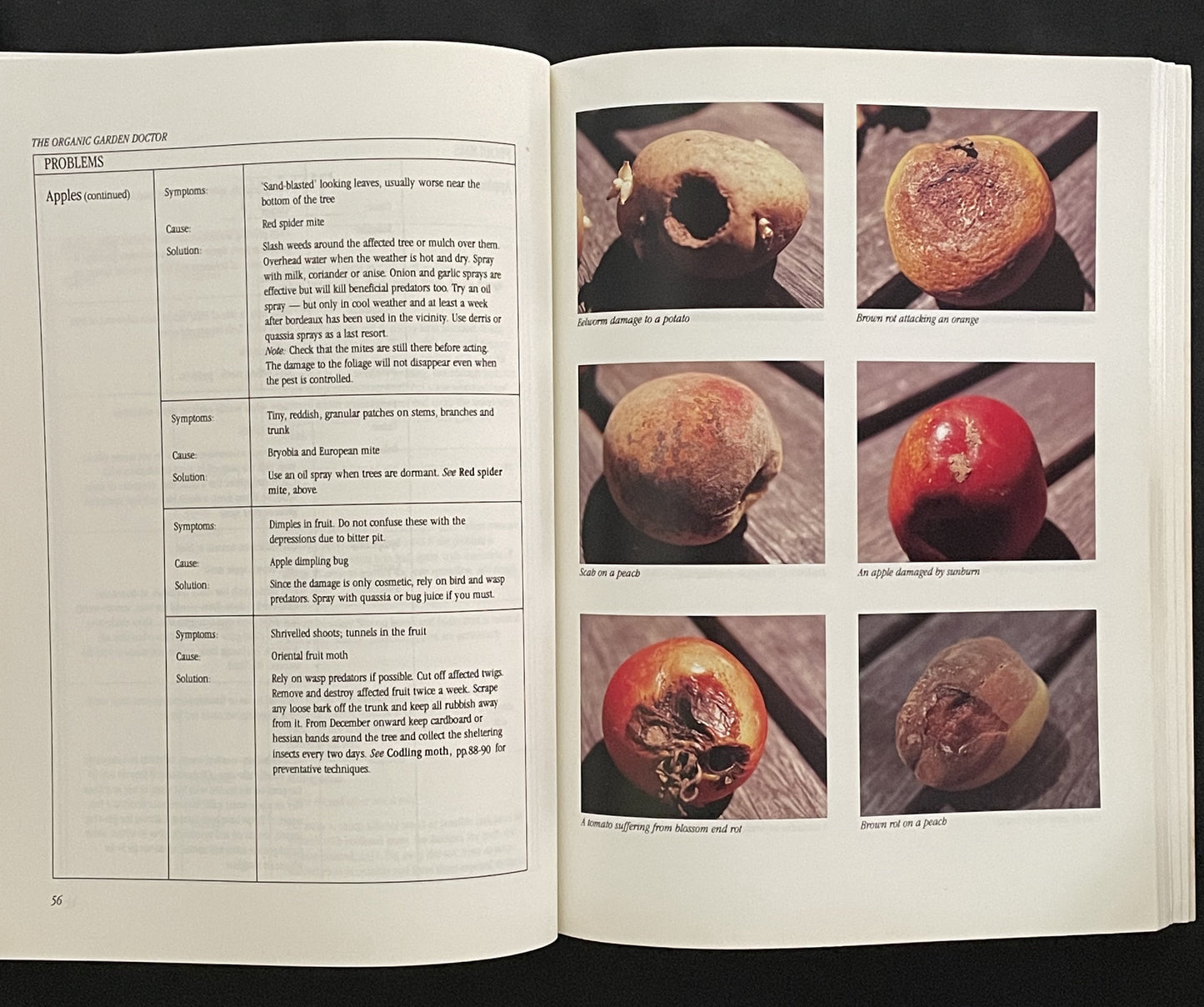 The Organic Garden Doctor by Jackie French