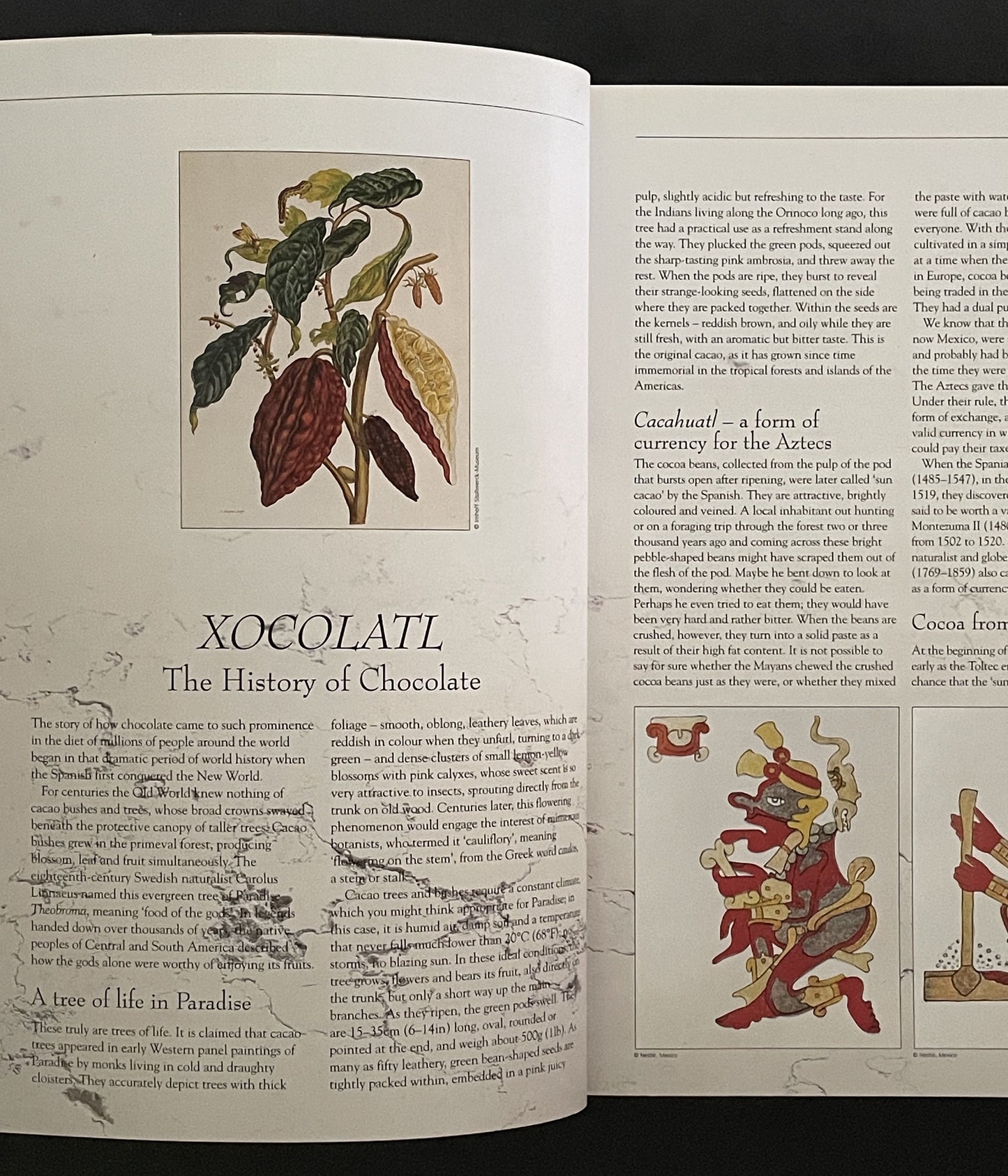 I Love Chocolate! by Christian Teubner