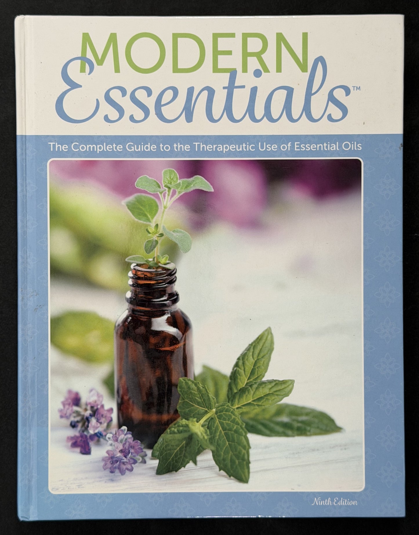 Modern Essentials by Sandi C. Knapp