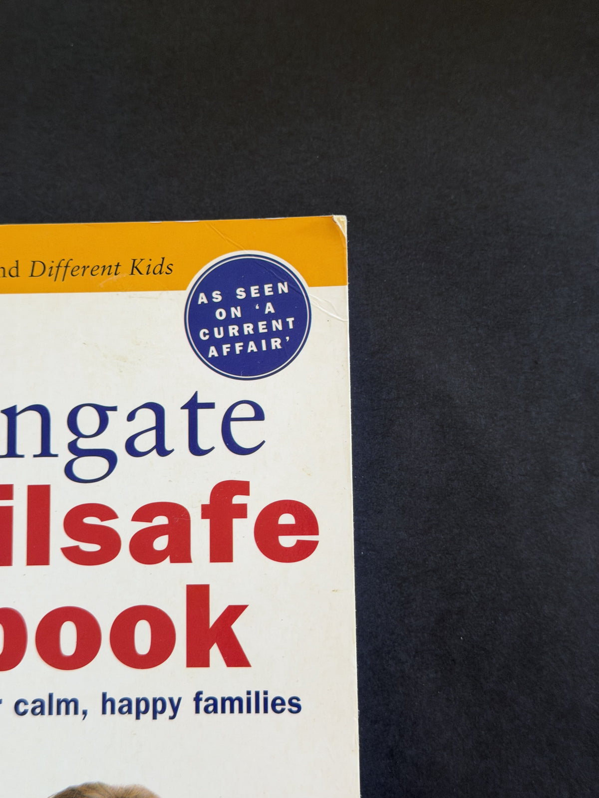 The Failsafe Cookbook by Sue Dengate