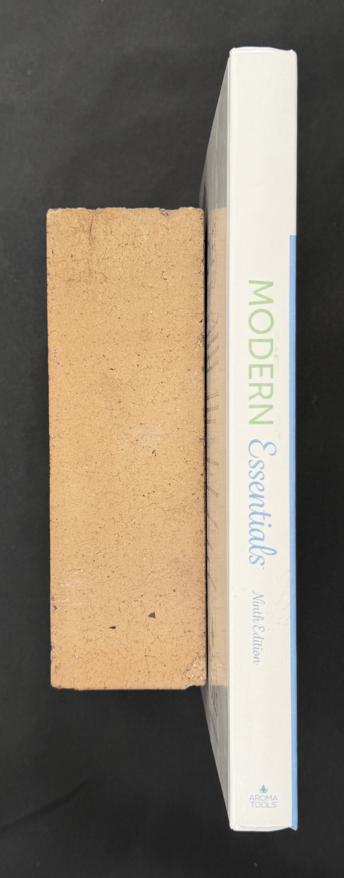 Modern Essentials by Sandi C. Knapp