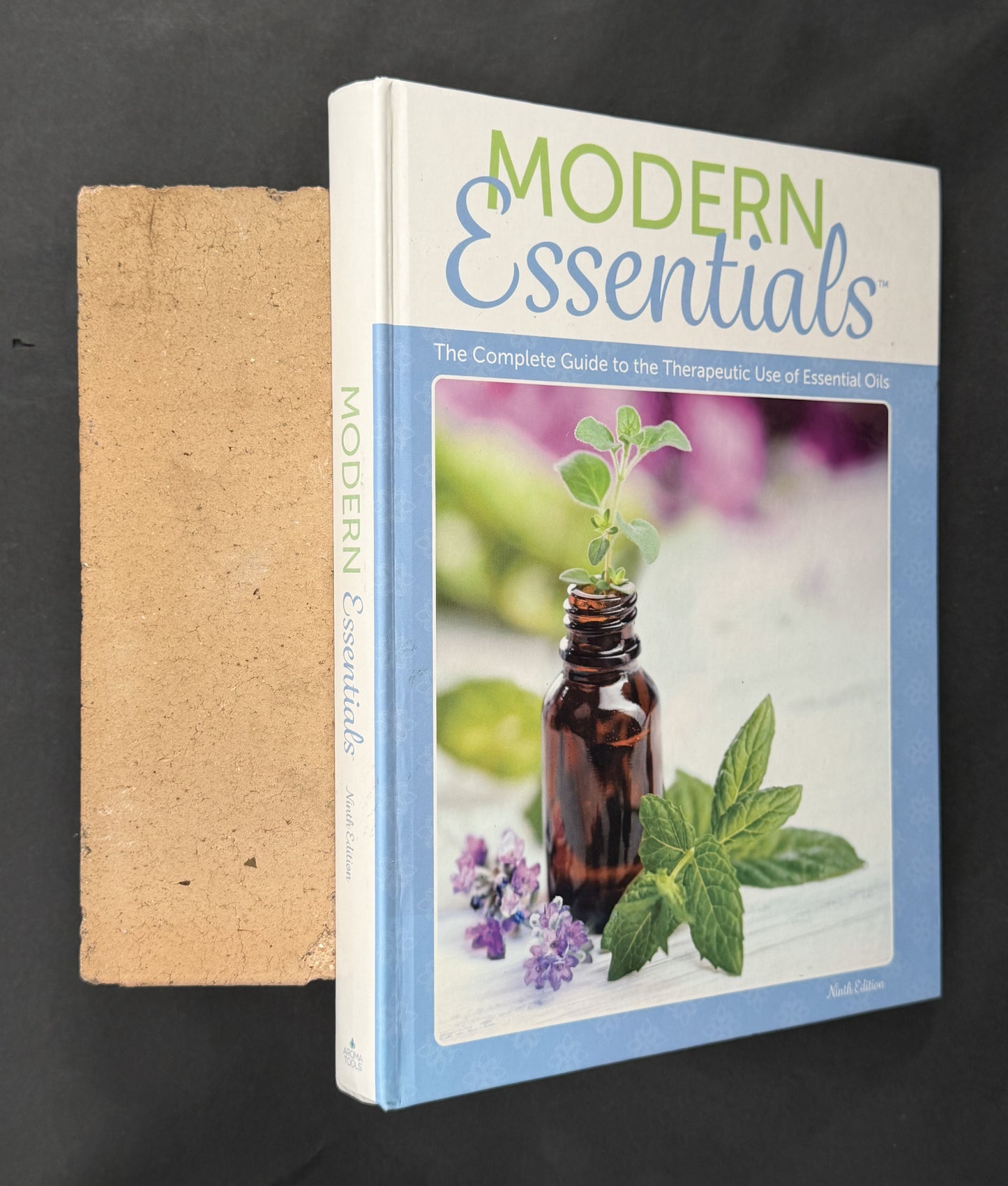 Modern Essentials by Sandi C. Knapp