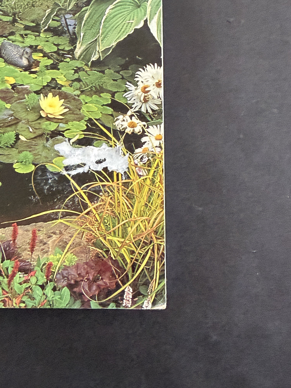 CHECK The Water Garden by Anthony Paul and Yvonne Rees