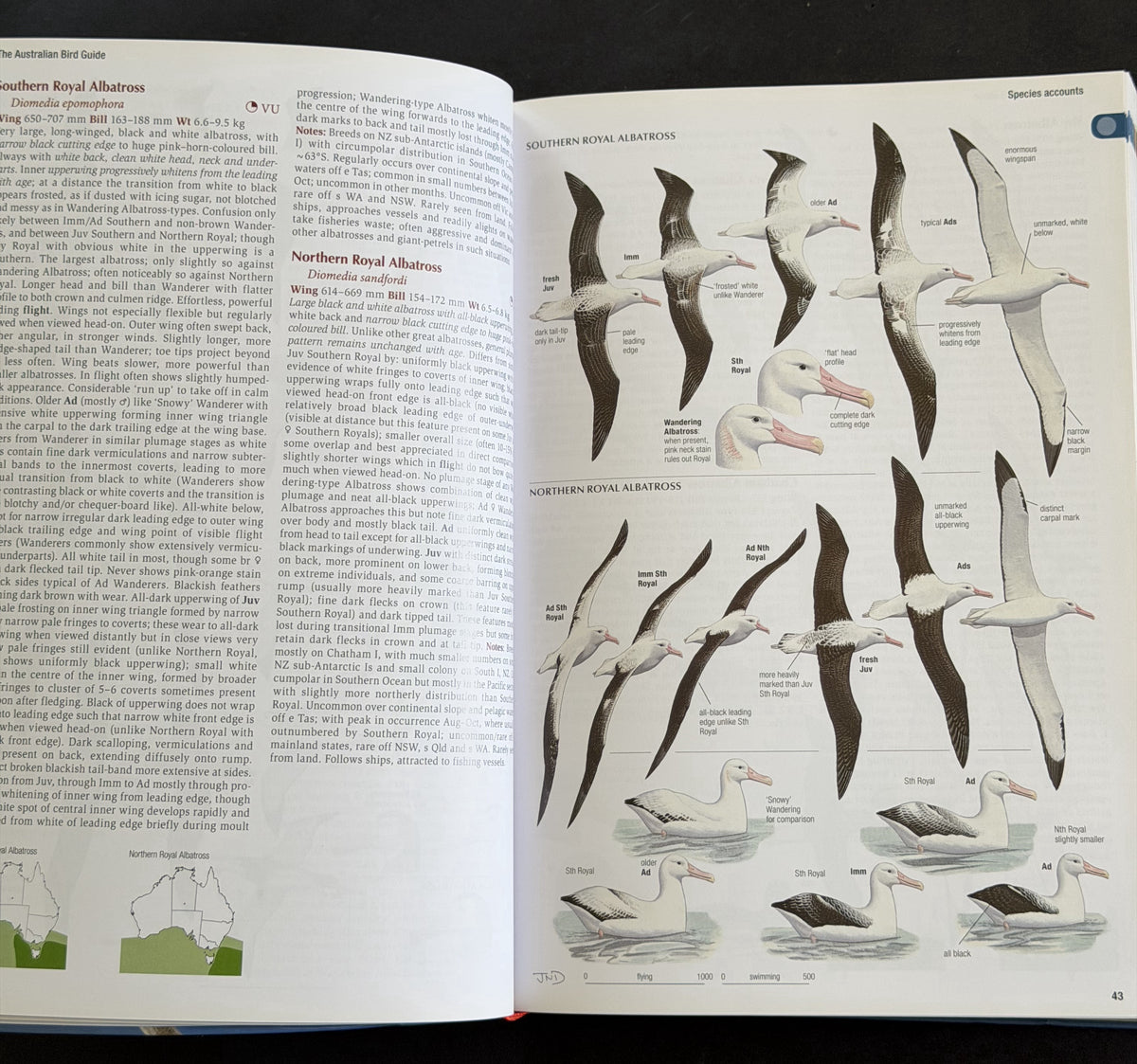 The Australian Bird Guide by Peter Menkhorst et al.