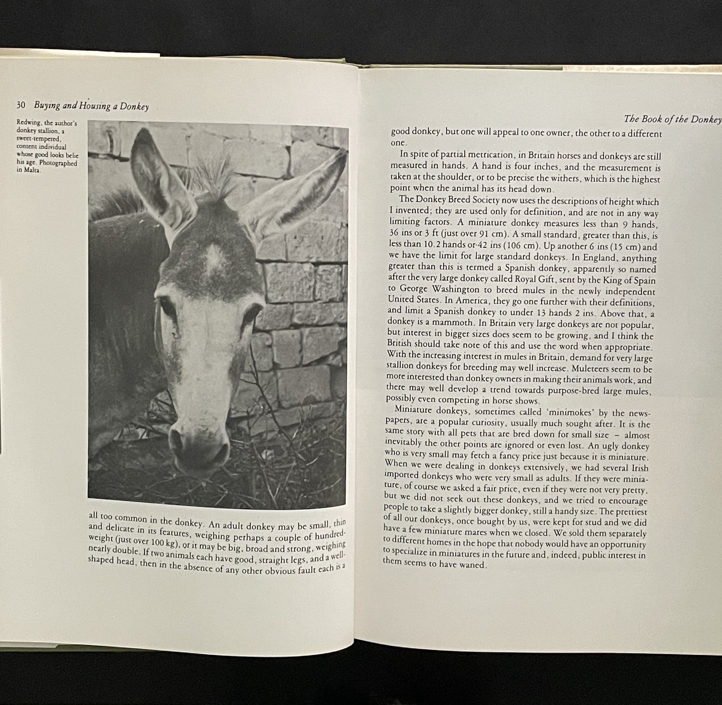 The Book of the Donkey by Robin Sandbach Borwick