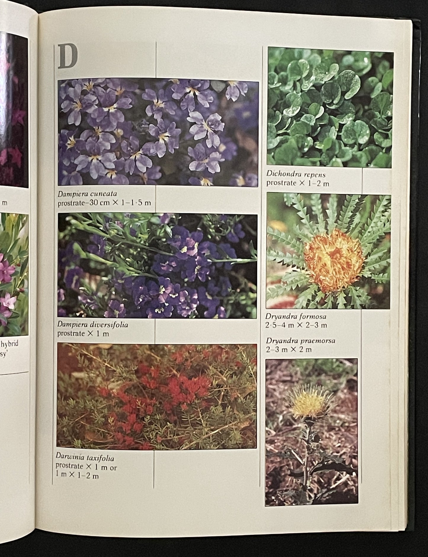 GROW WHAT BASIC by The Australian Plant Study Group