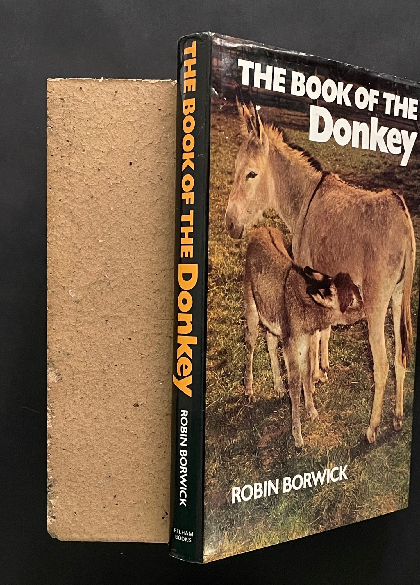 The Book of the Donkey by Robin Sandbach Borwick