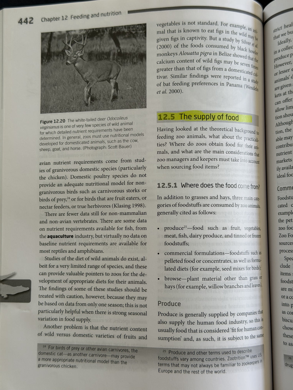 Zoo Animals by Geoff Hosey, Vicky Melfi, Sheila Pankhurst