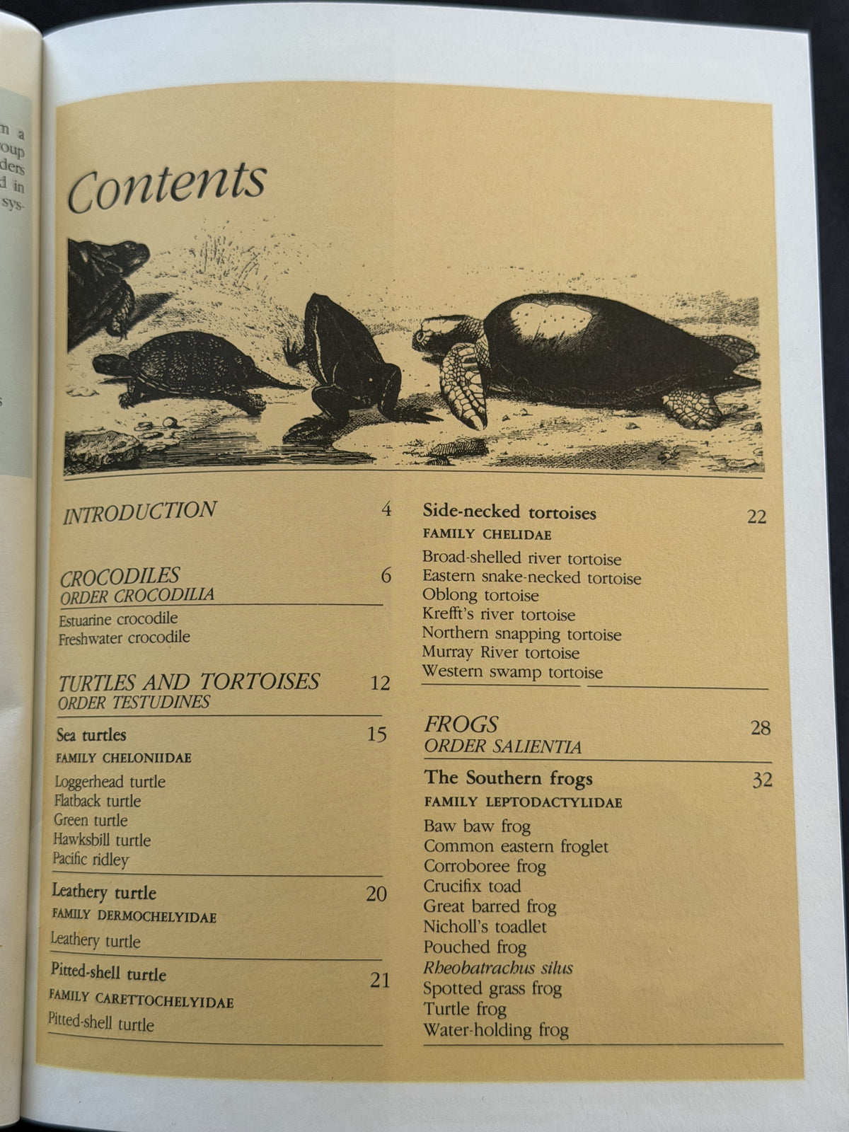 Australian Crocodiles, Turtles, Tortoises and Frogs by Bay Books