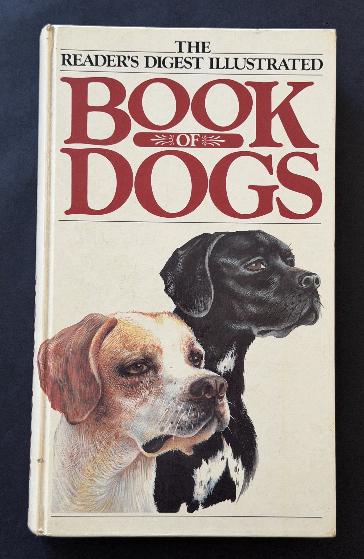 The Reader's Digest illustrated book of dogs by Patricia Sylvester