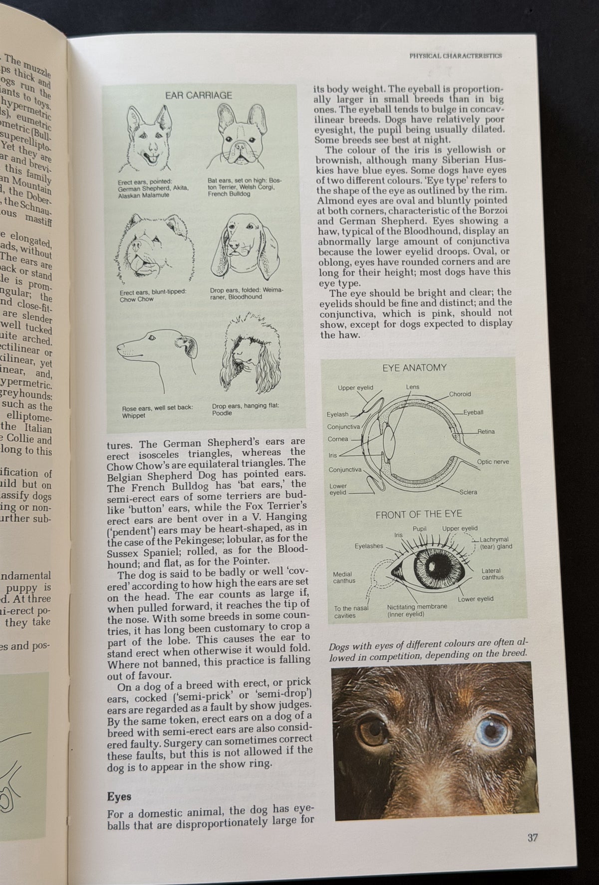 The Reader's Digest illustrated book of dogs by Patricia Sylvester