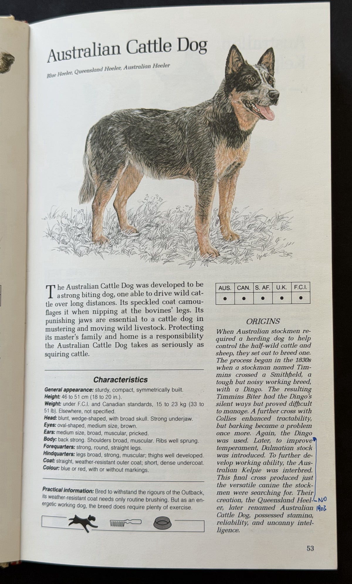 The Reader's Digest illustrated book of dogs by Patricia Sylvester