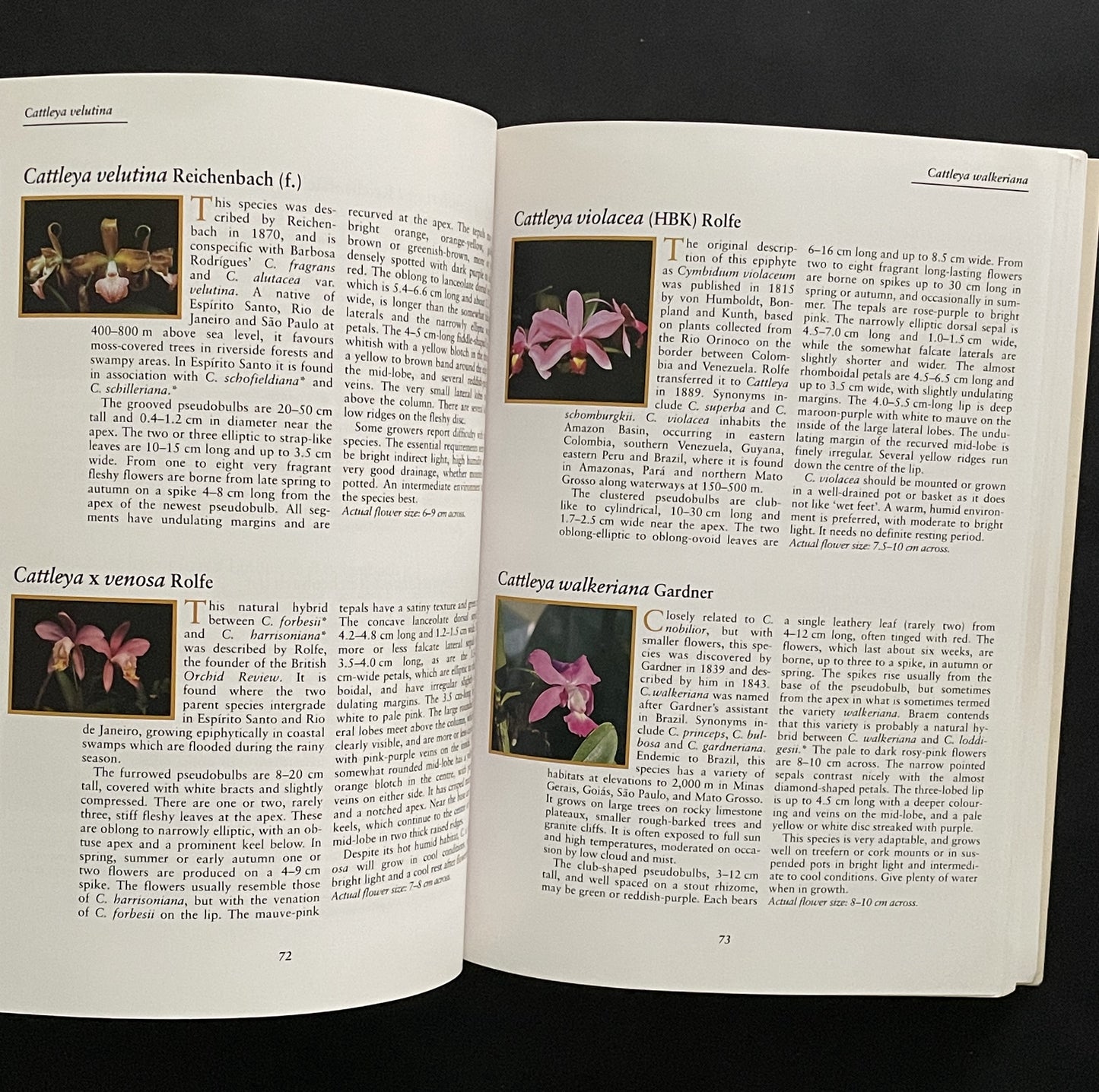 Orchids of Brazil by James McQueen, Jim McQueen, Barbara McQueen