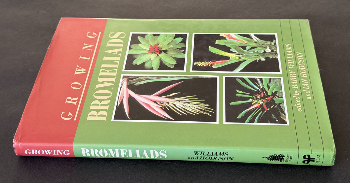 Growing bromeliads by Ian Hodgson