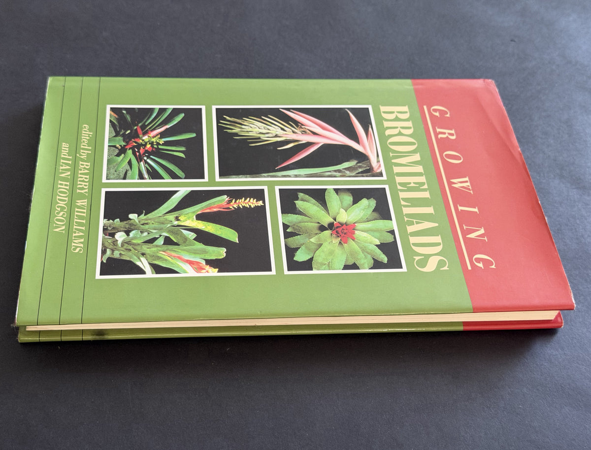 Growing bromeliads by Ian Hodgson