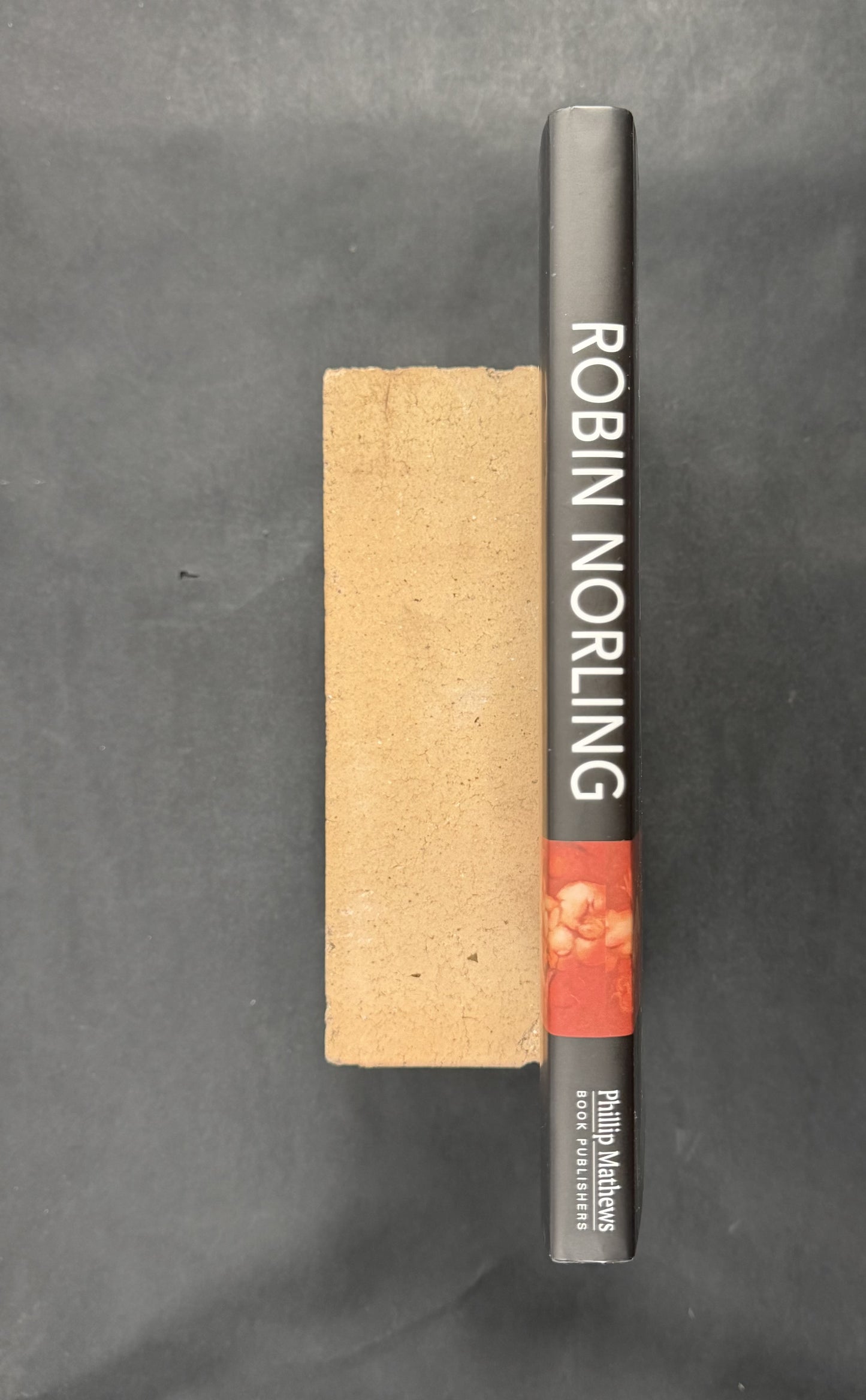 Robin Norling by Robin Norling