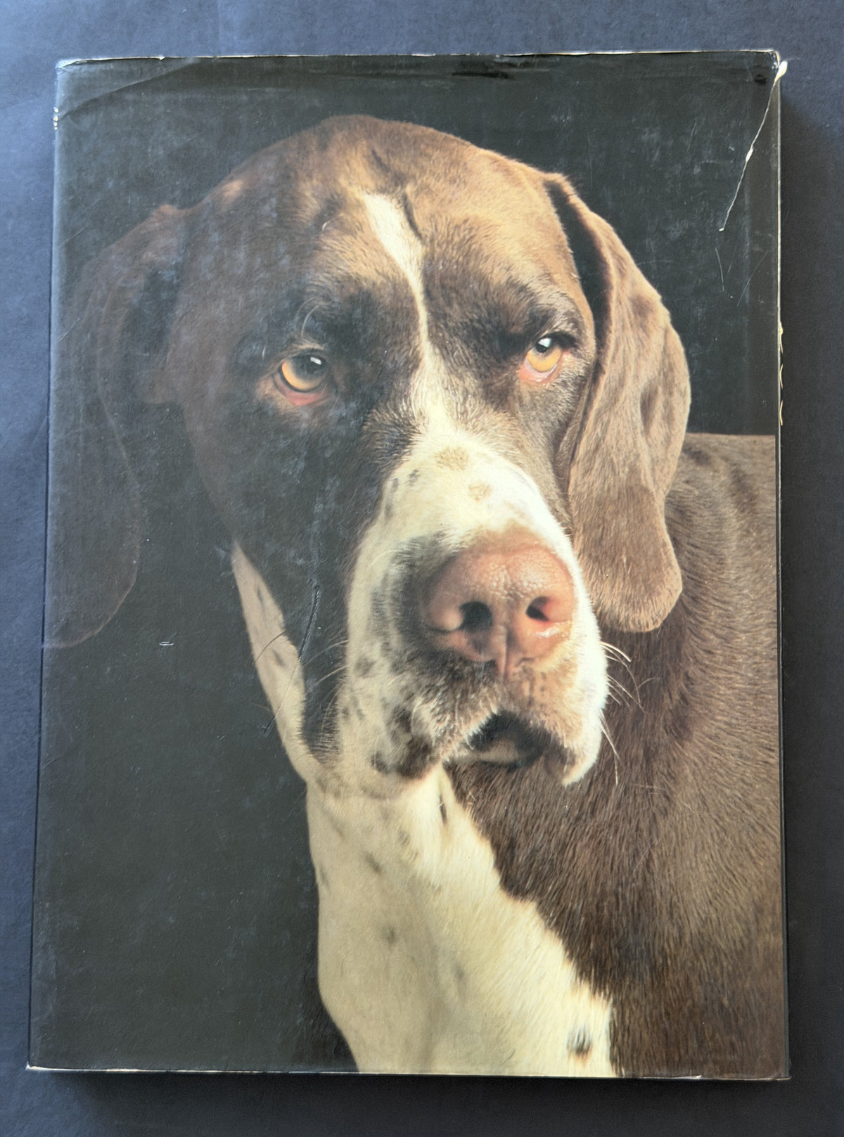 Encyclopedia of the dog by Richard Marples