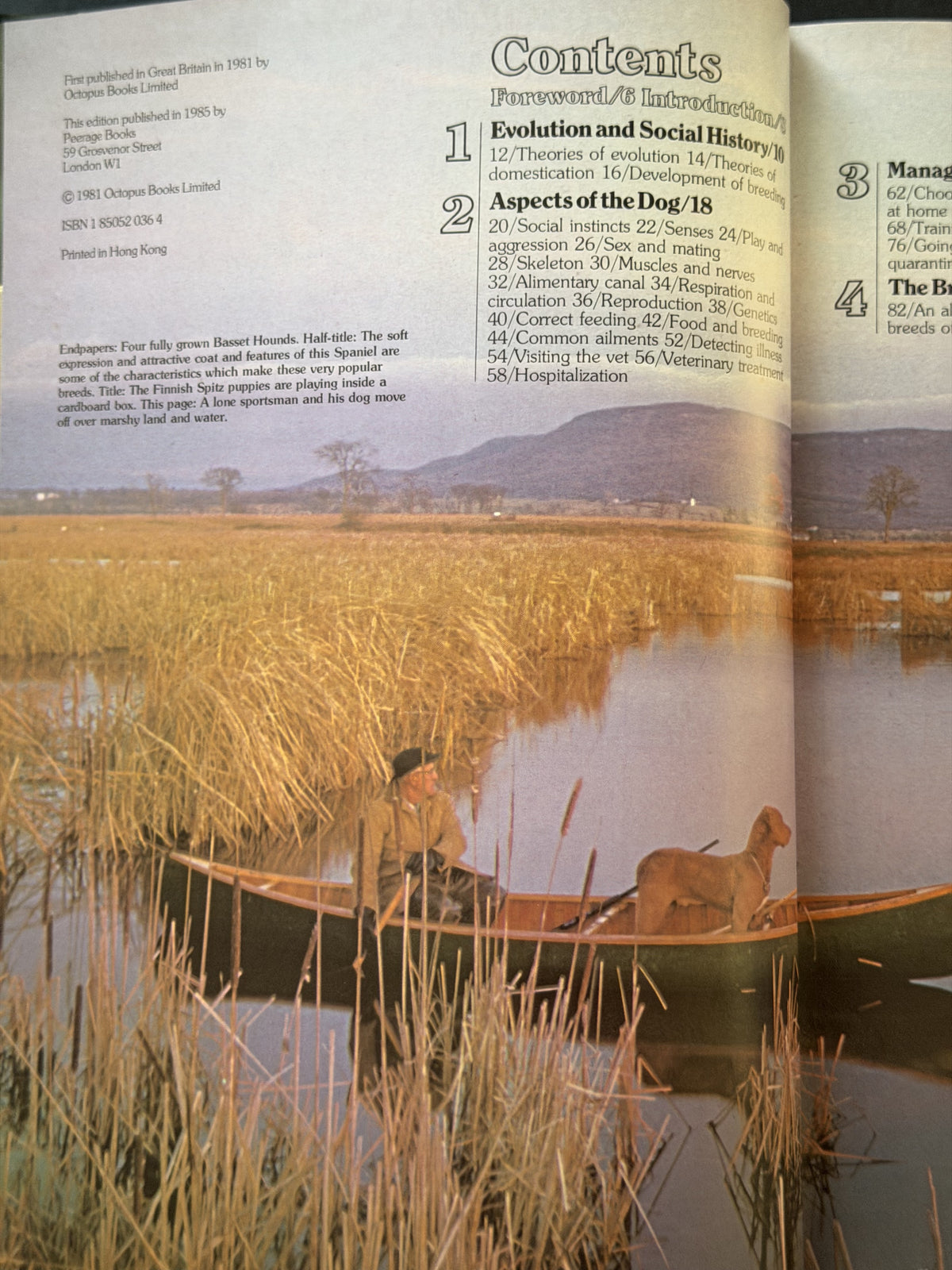 Encyclopedia of the dog by Richard Marples