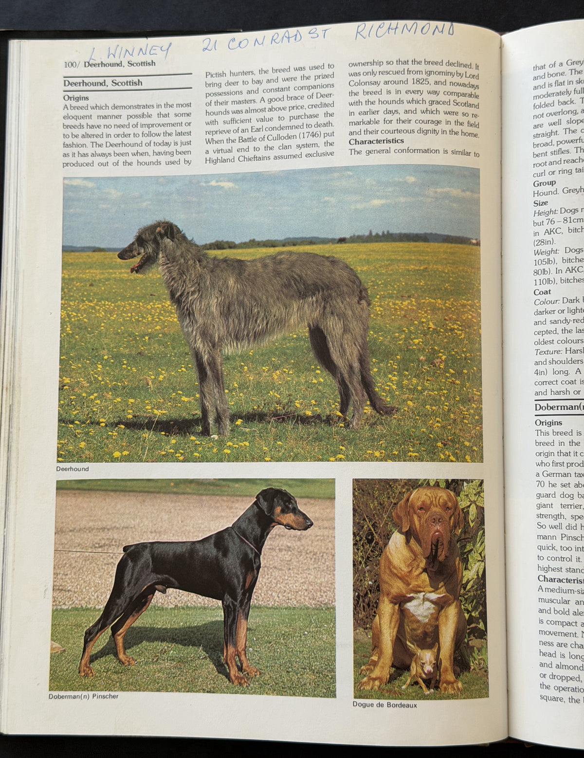 Encyclopedia of the dog by Richard Marples