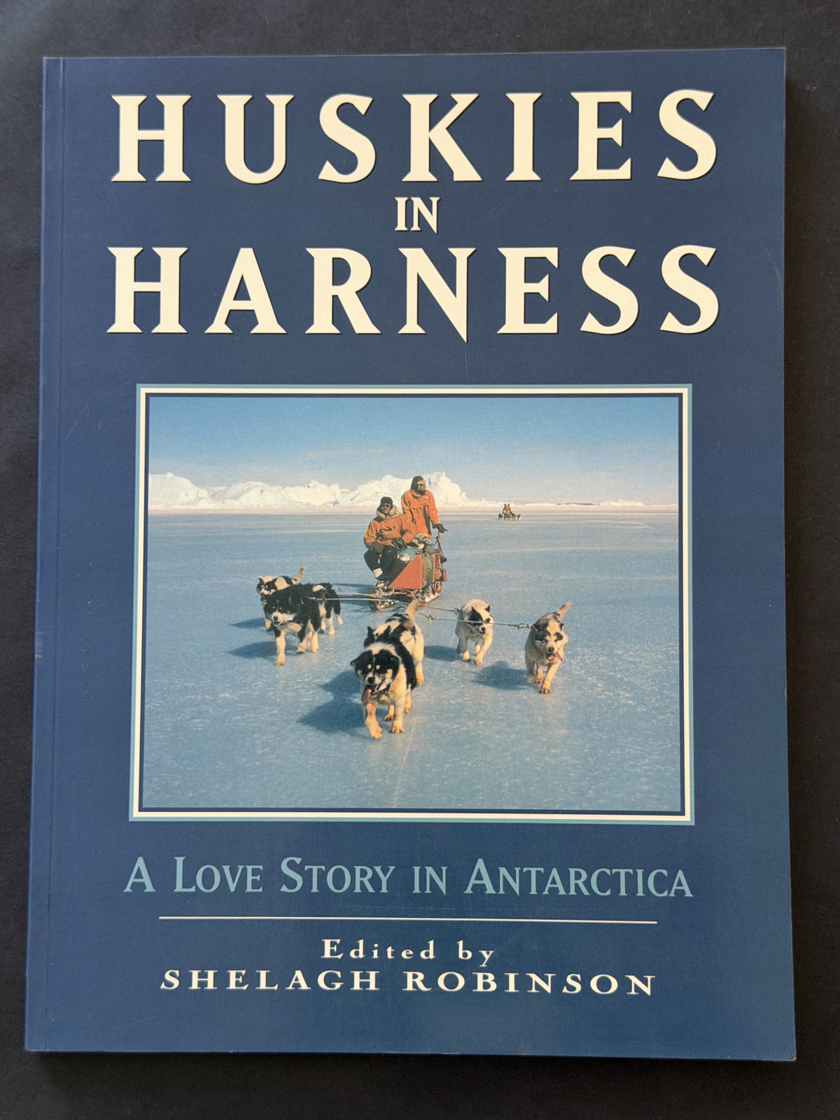 Huskies in Harness by Shelagh Robinson