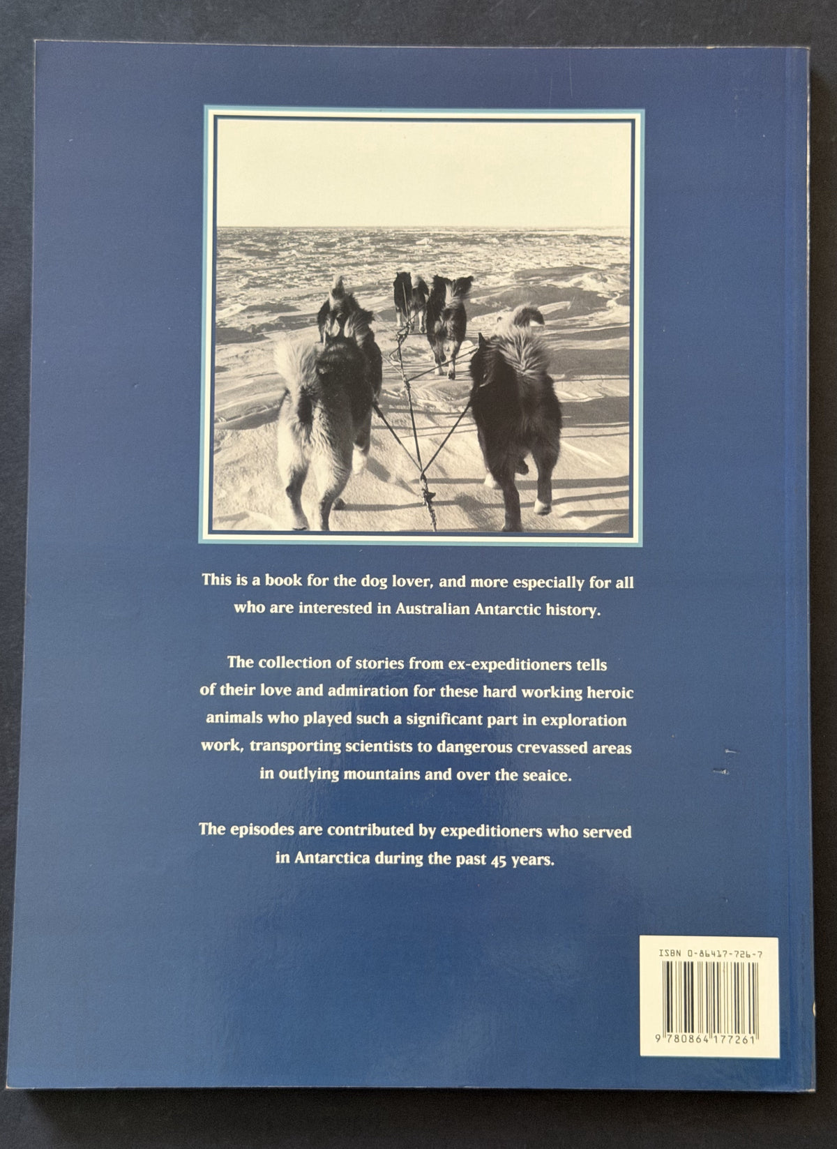 Huskies in Harness by Shelagh Robinson