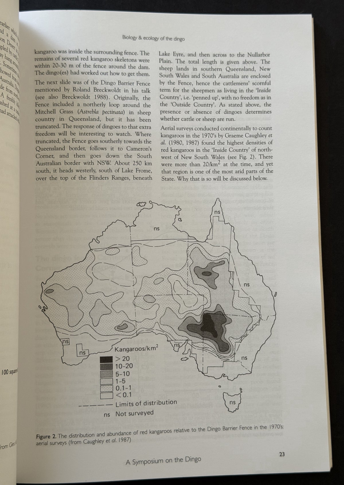 A Symposium on the Dingo by Symposium on the Dingo (1999 Australian Museum)