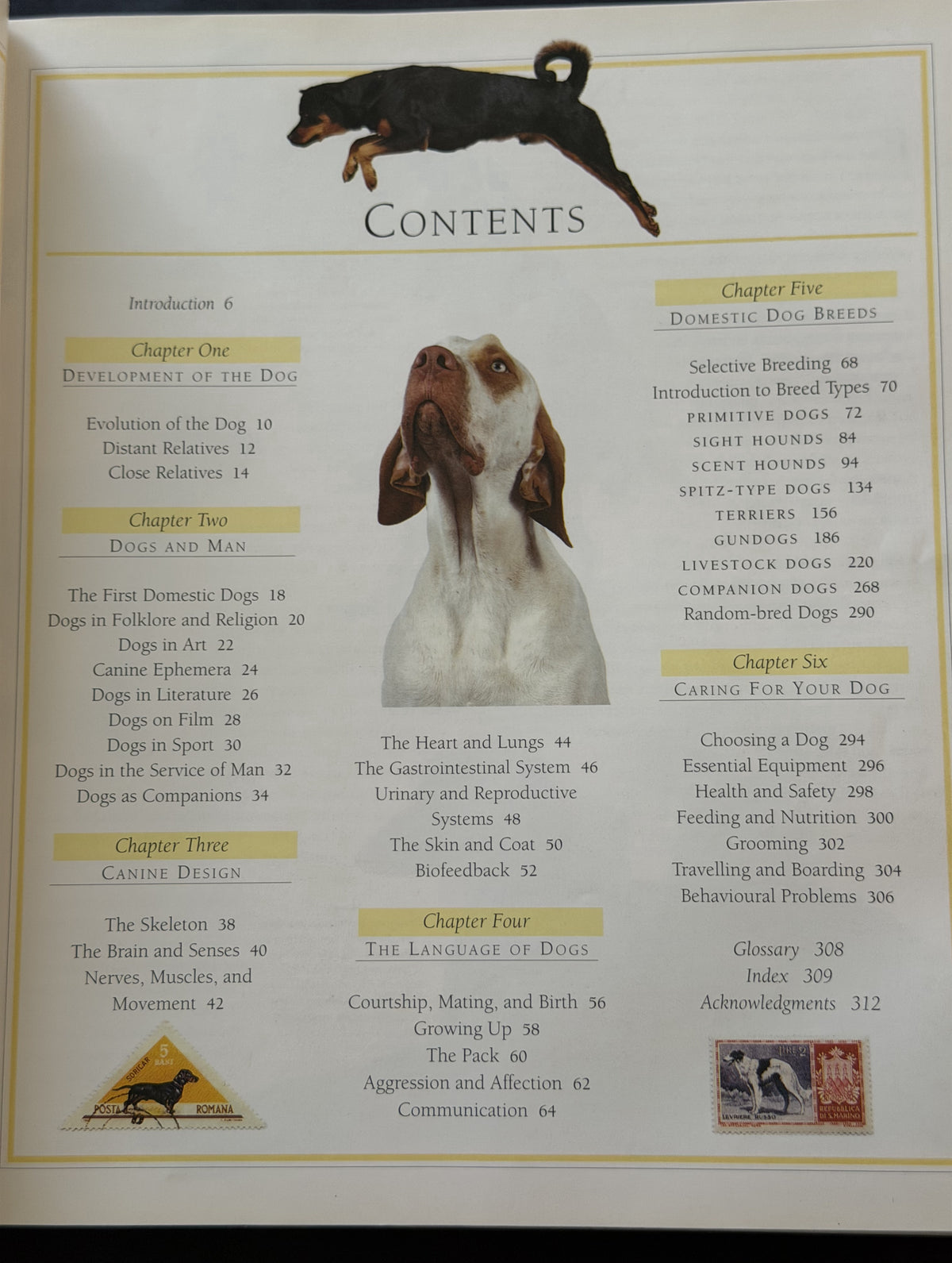 The Encyclopedia of the Dog by Dr. Bruce Fogle