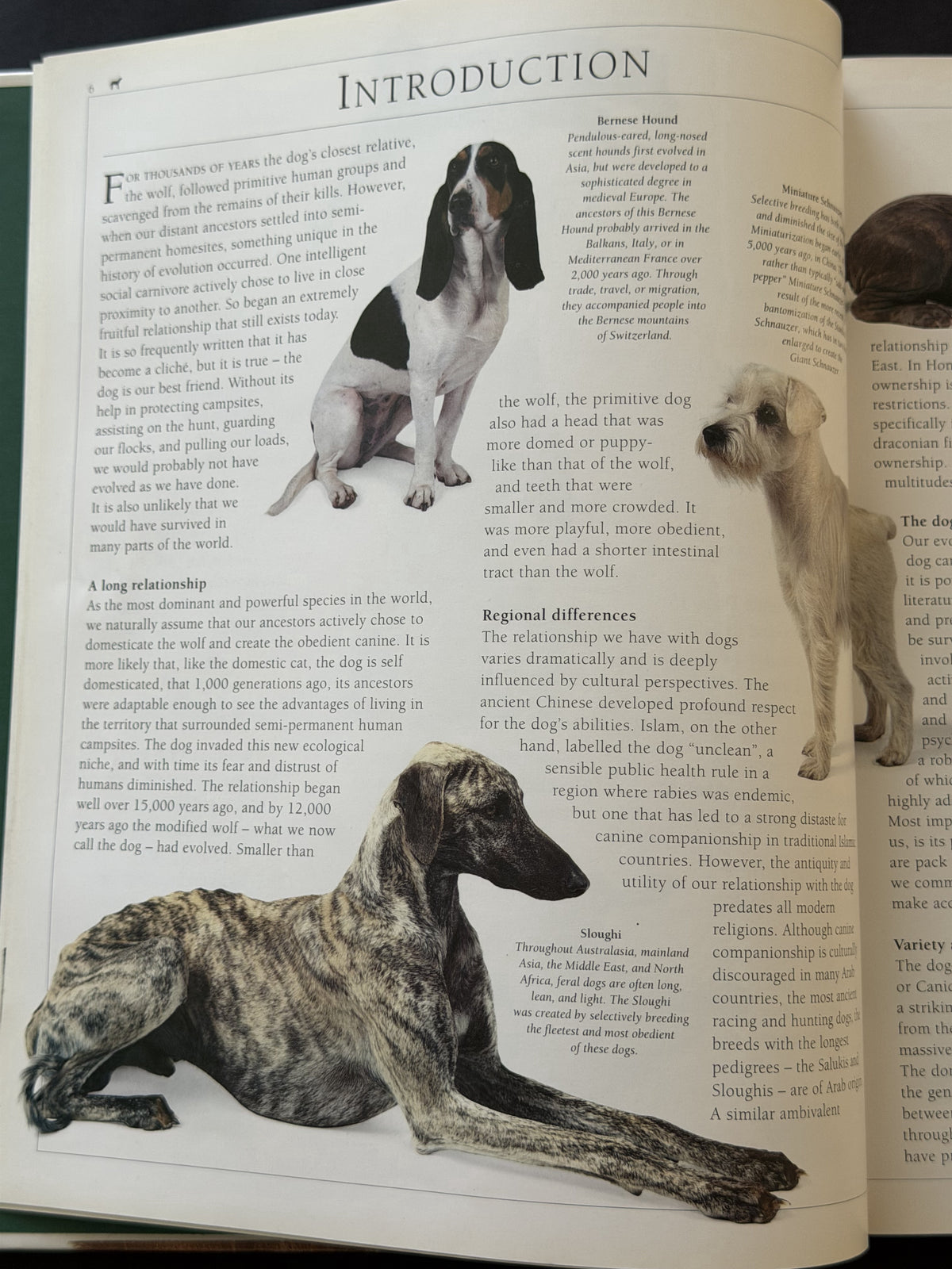 The Encyclopedia of the Dog by Dr. Bruce Fogle