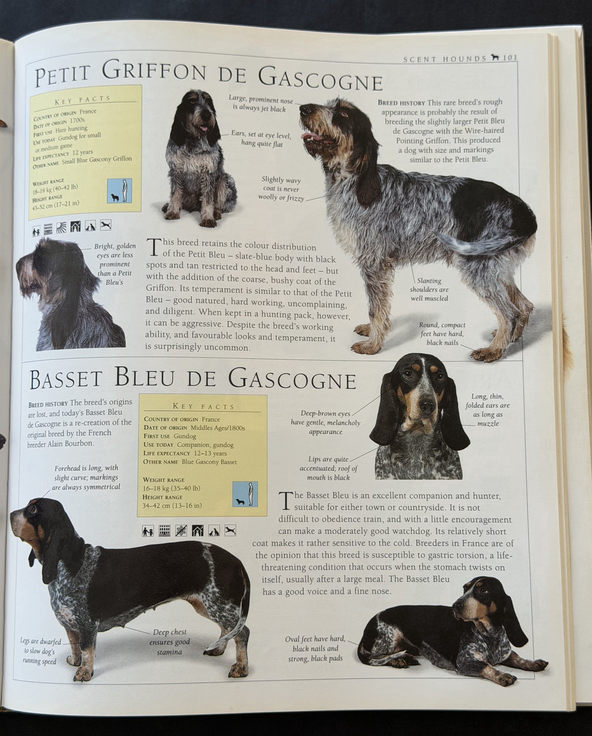 The Encyclopedia of the Dog by Dr. Bruce Fogle