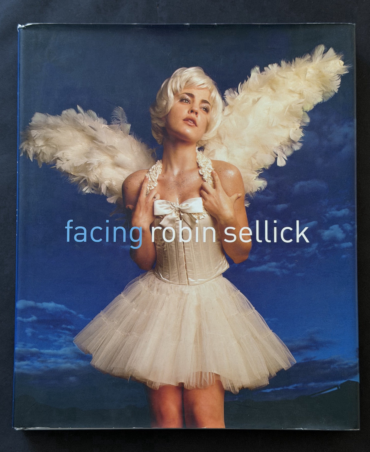 Facing by Robin Sellick