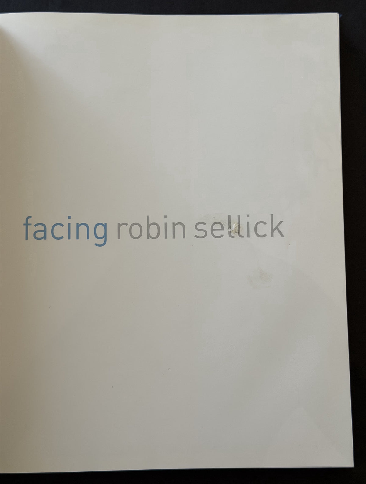 Facing by Robin Sellick