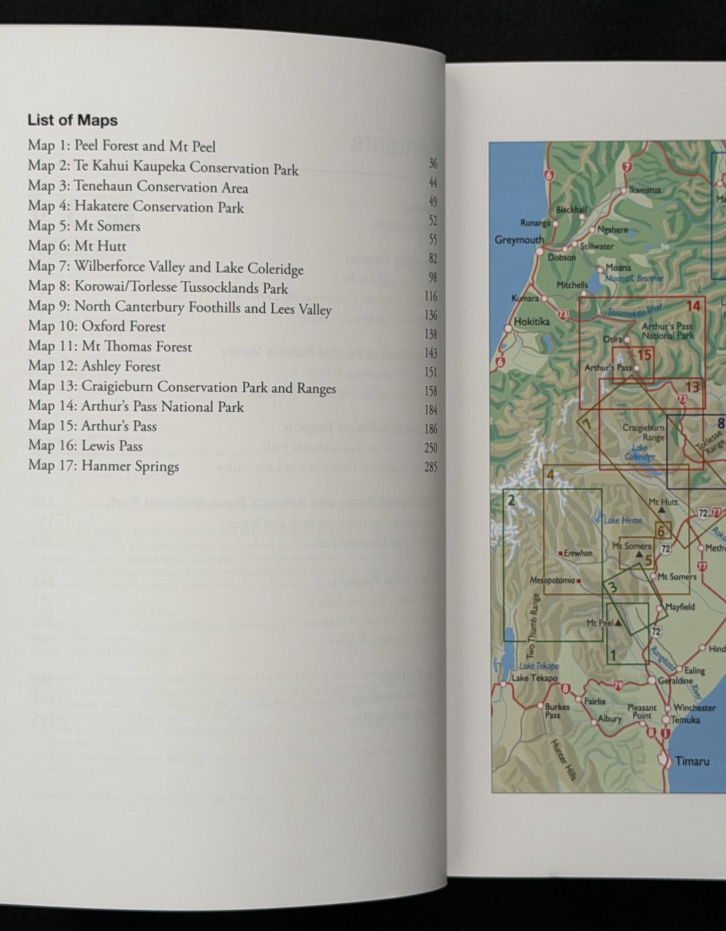 Canterbury Foothills and Forests by Pat Barrett