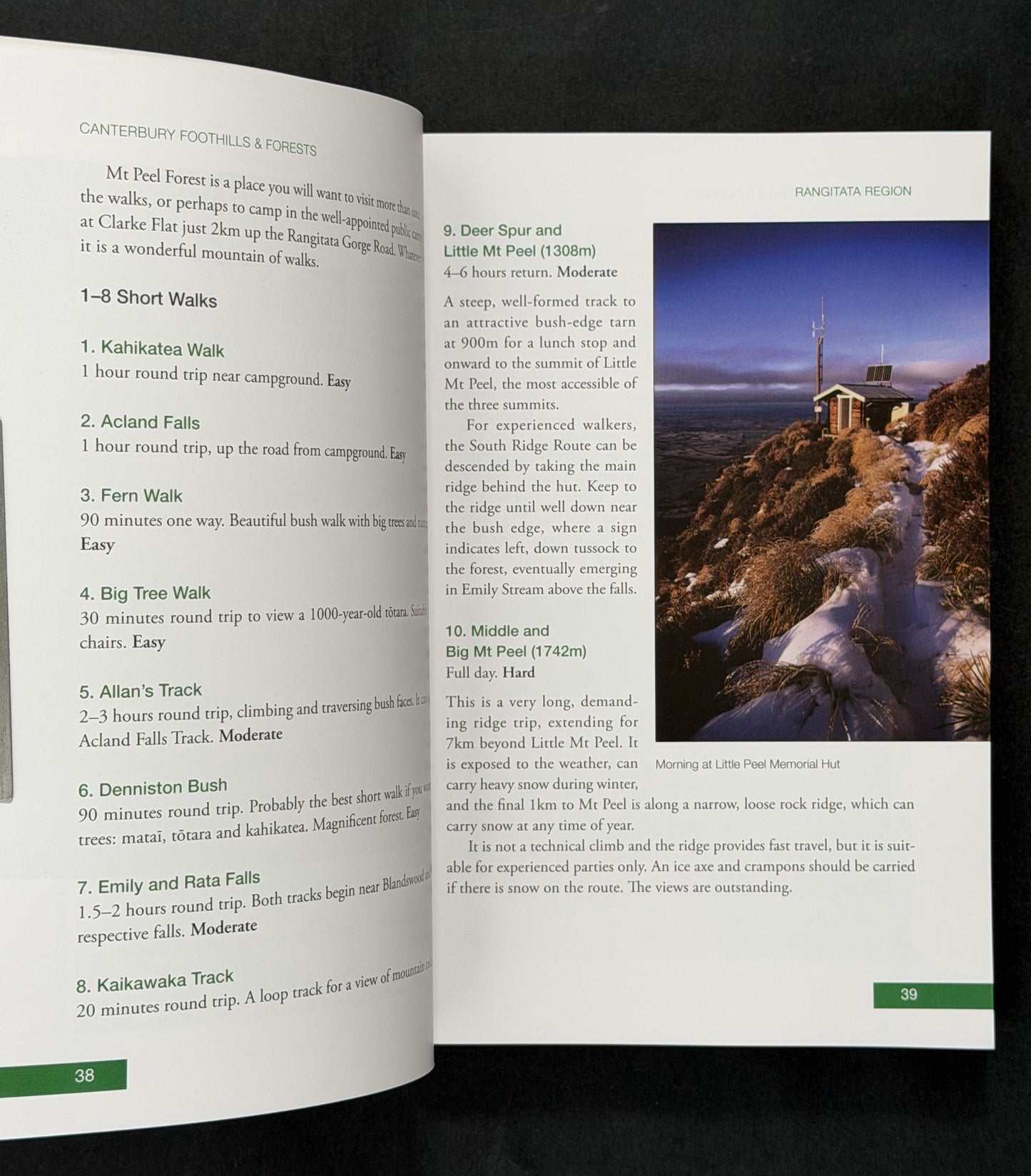 Canterbury Foothills and Forests by Pat Barrett