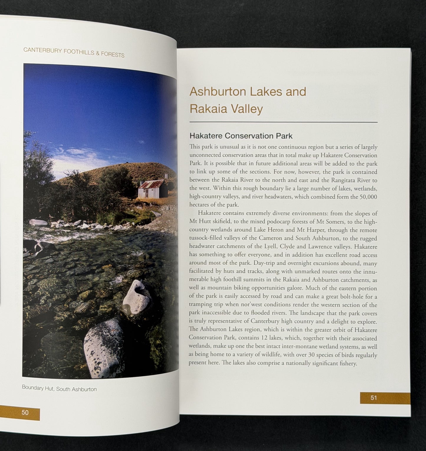 Canterbury Foothills and Forests by Pat Barrett
