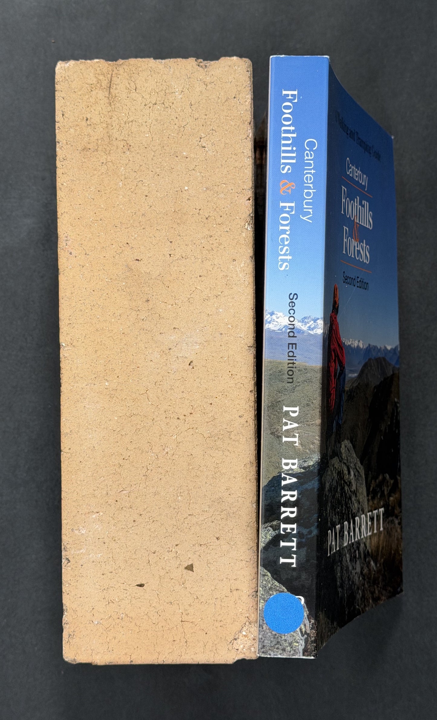 Canterbury Foothills and Forests by Pat Barrett