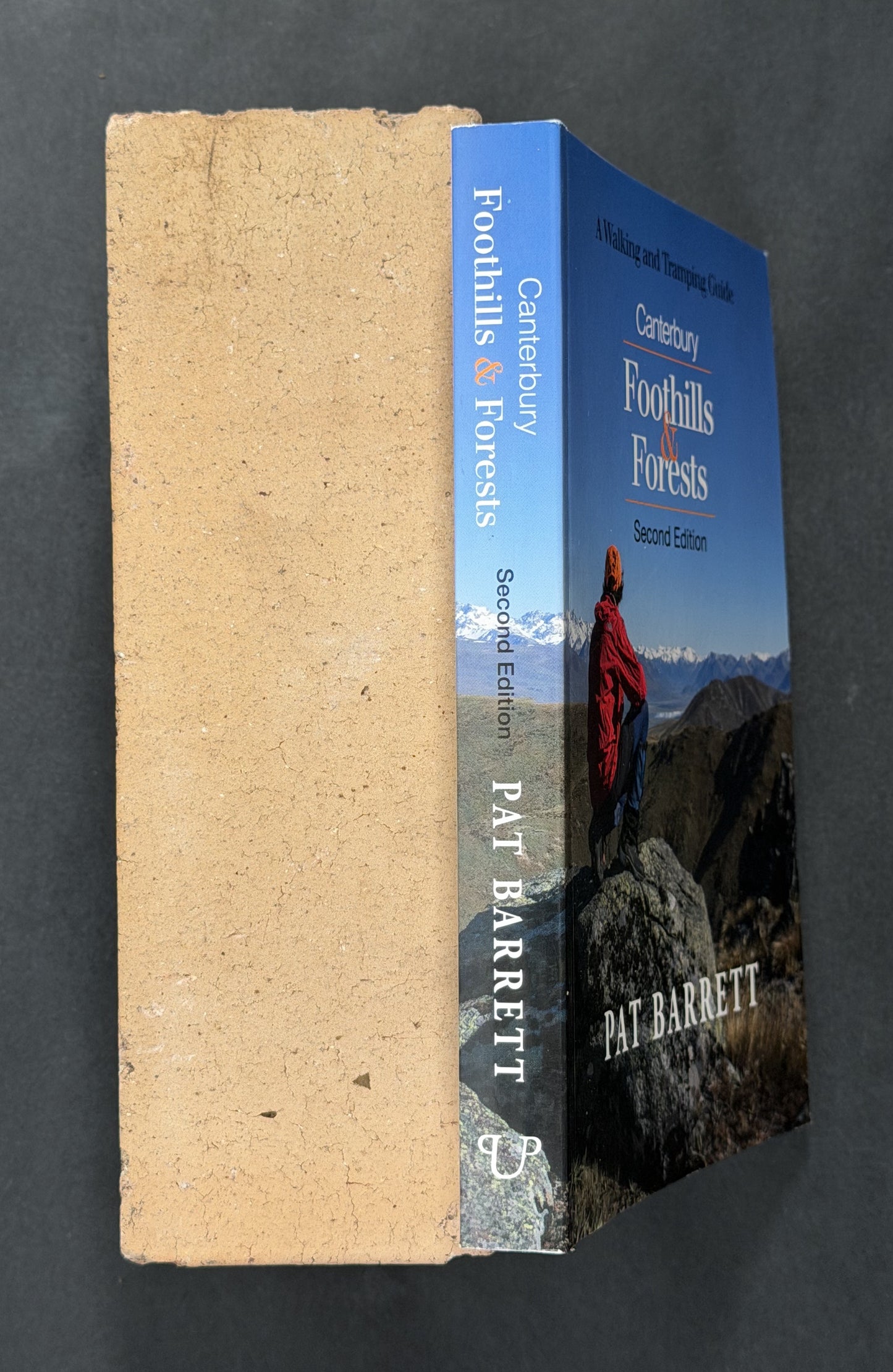 Canterbury Foothills and Forests by Pat Barrett