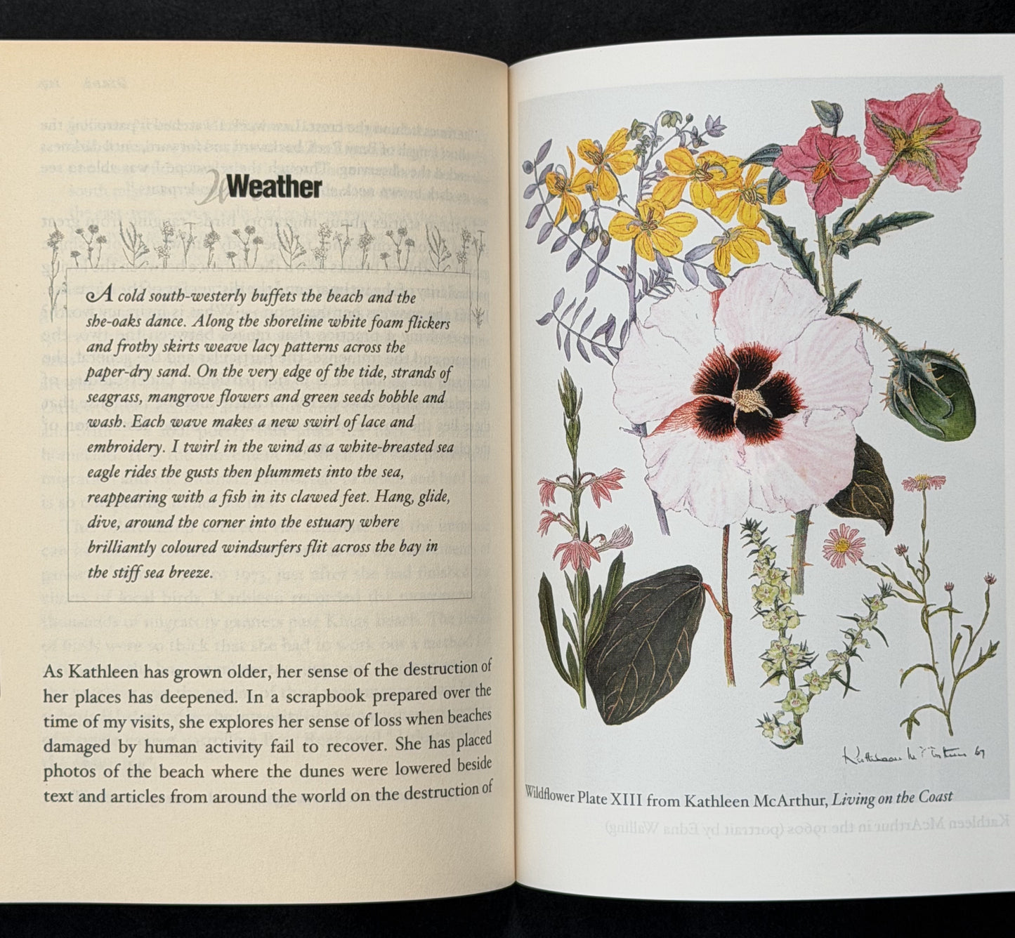 Wildflowering by Margaret Somerville