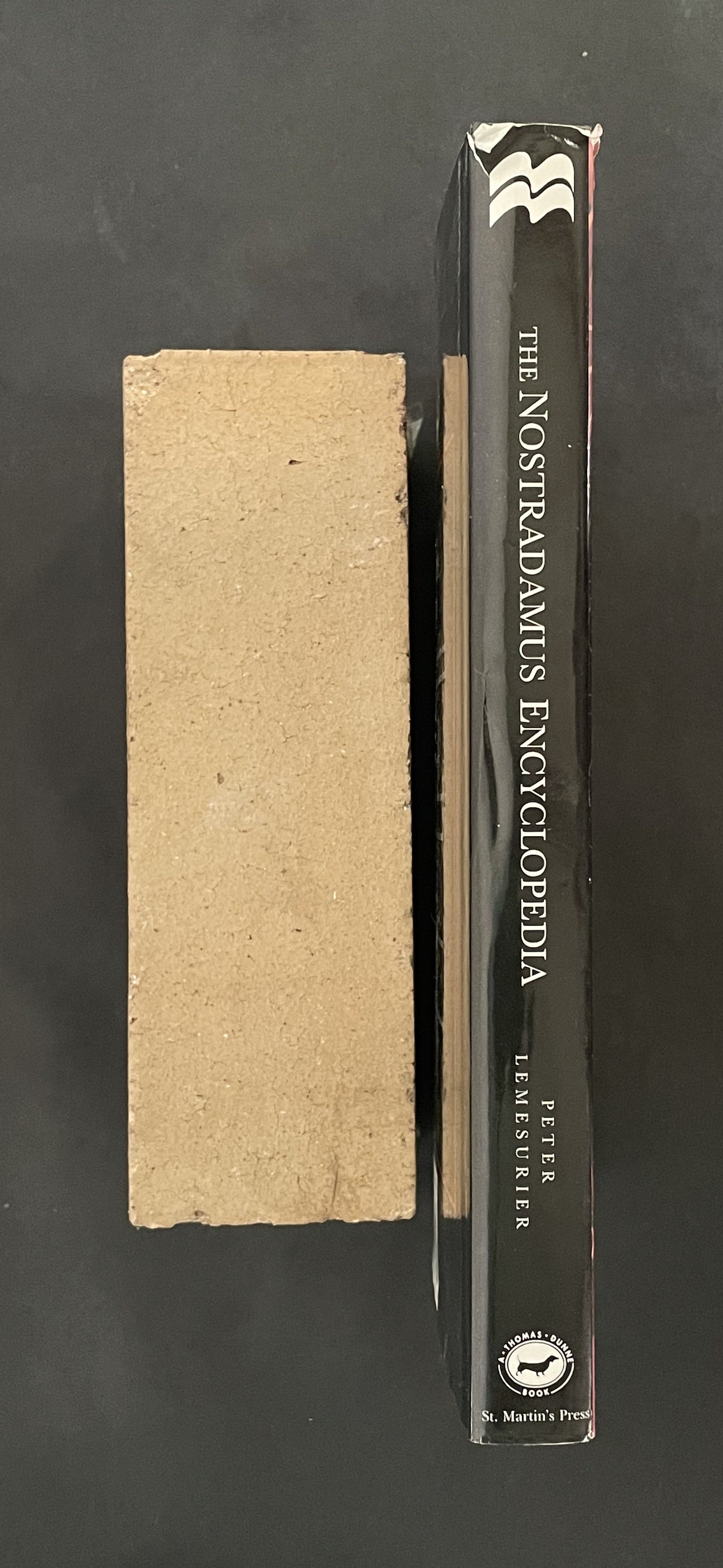 The Nostradamus Encyclopedia by Peter Lemesurier, Nostradamus