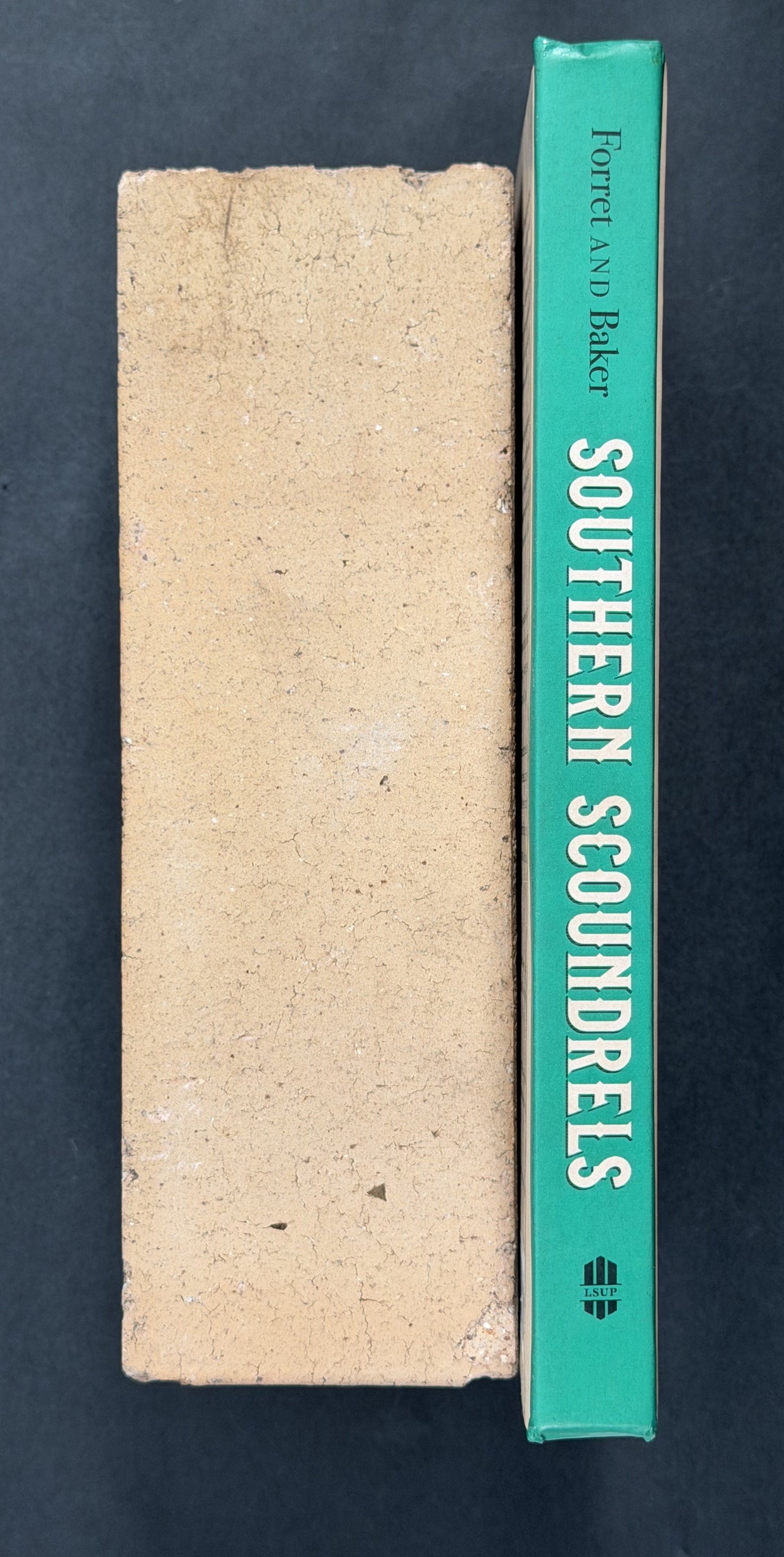 Southern Scoundrels by Jeff Forret, Bruce E. Baker