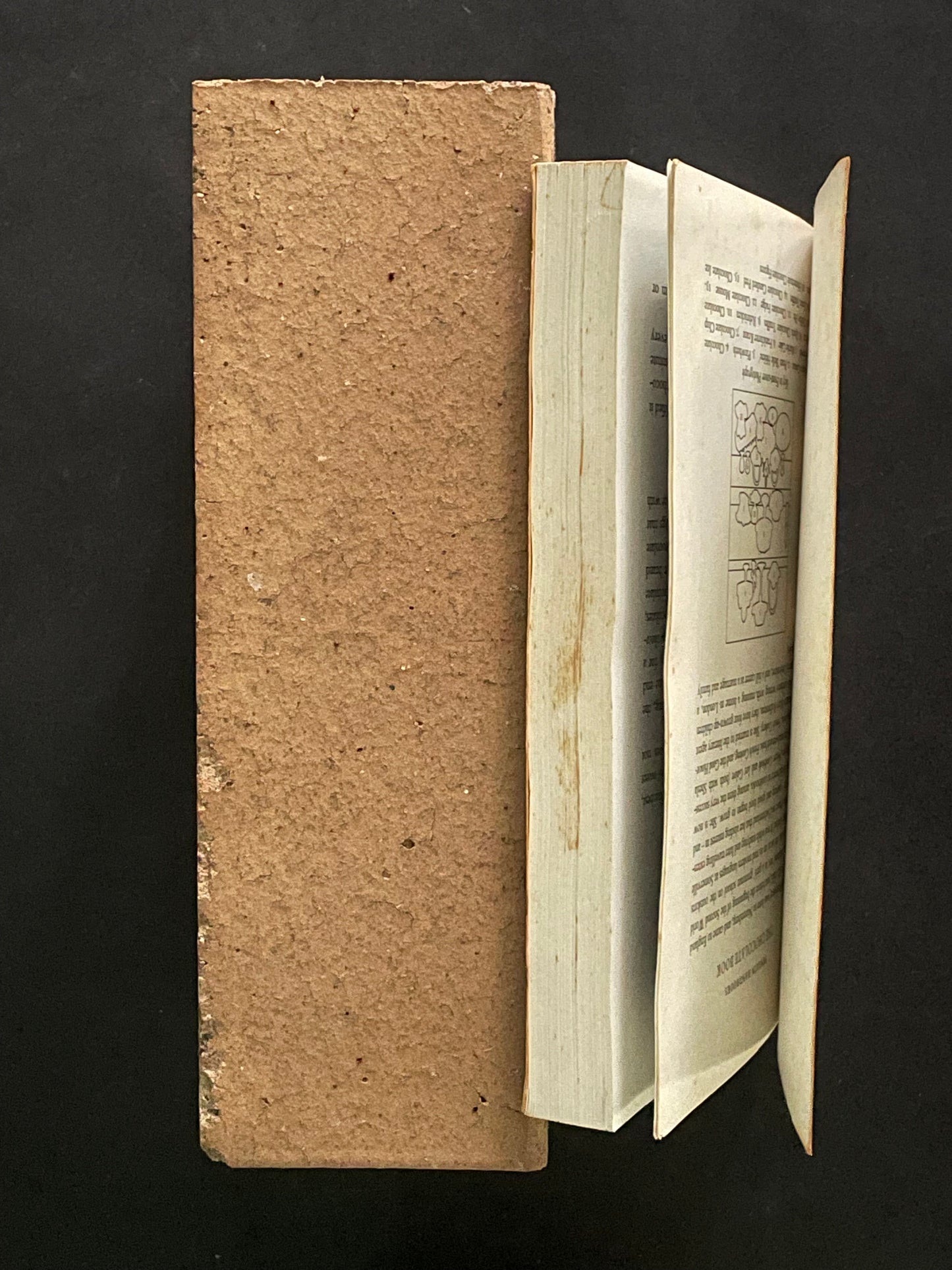 The Chocolate Book by Helge Rubinstein