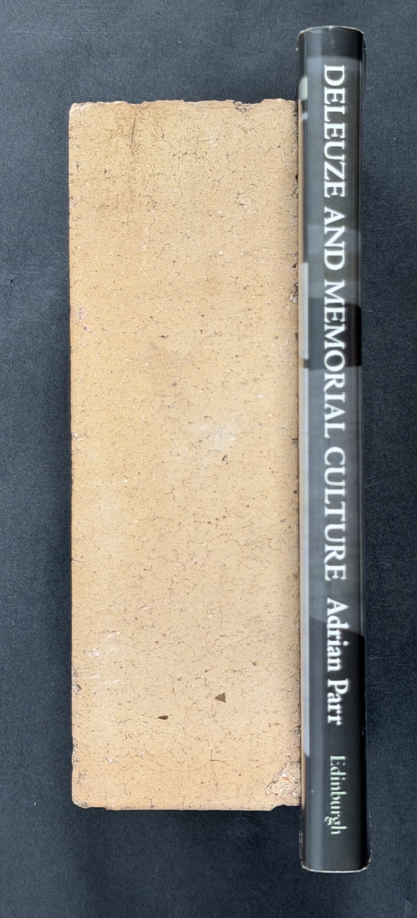 Deleuze and Memorial Culture by Adrian Parr