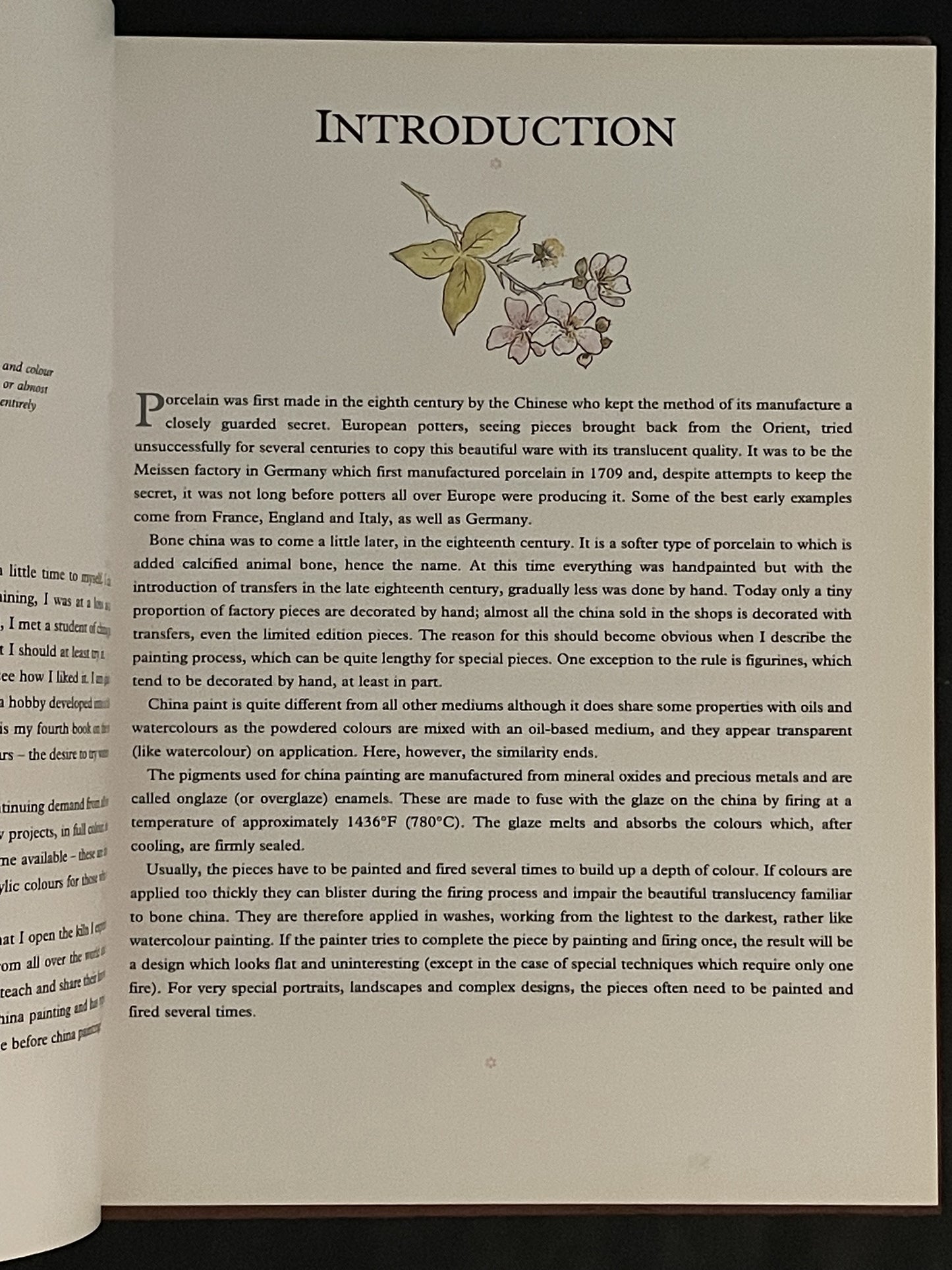 Painting China & Porcelain by Sheila Southwell