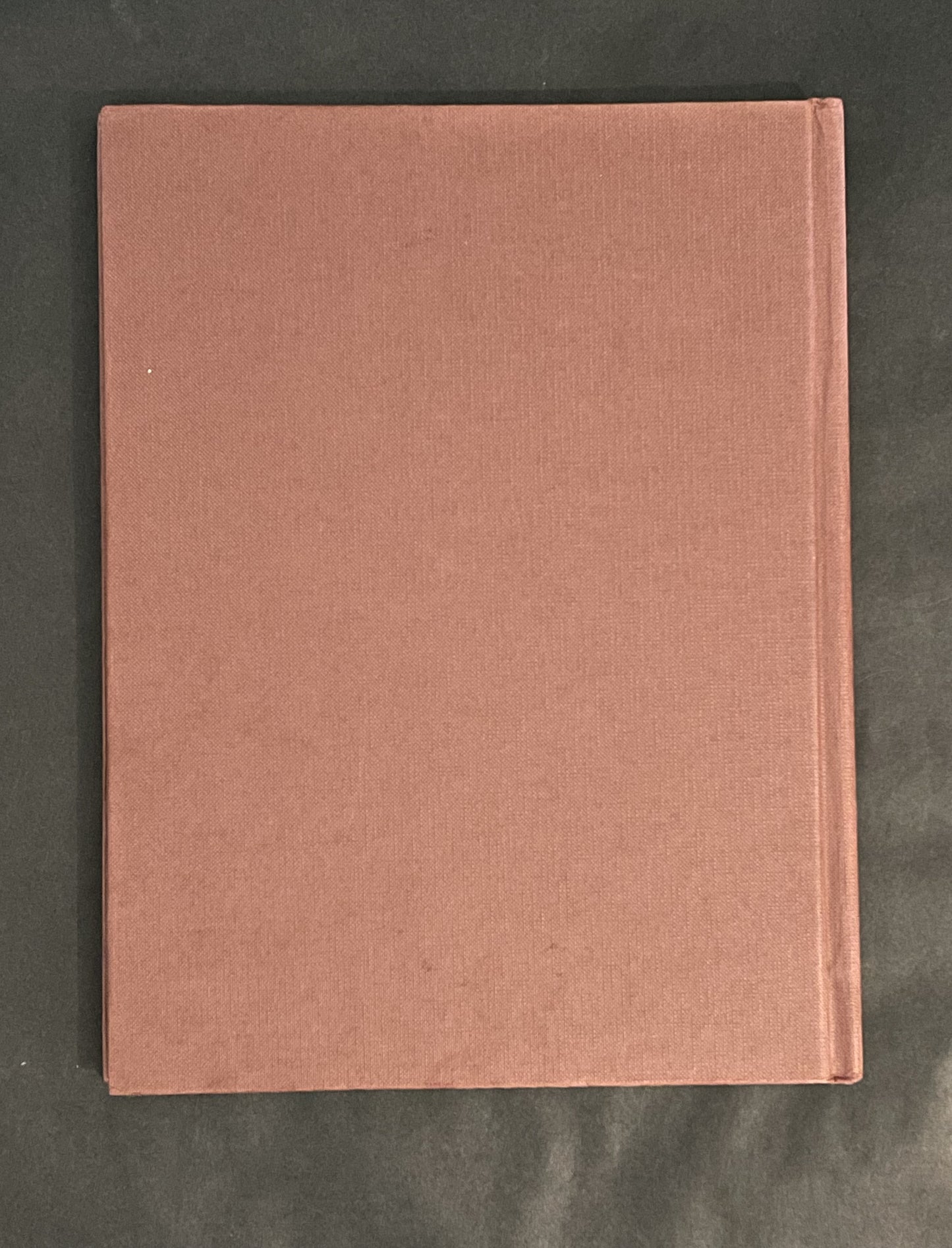 Painting China & Porcelain by Sheila Southwell