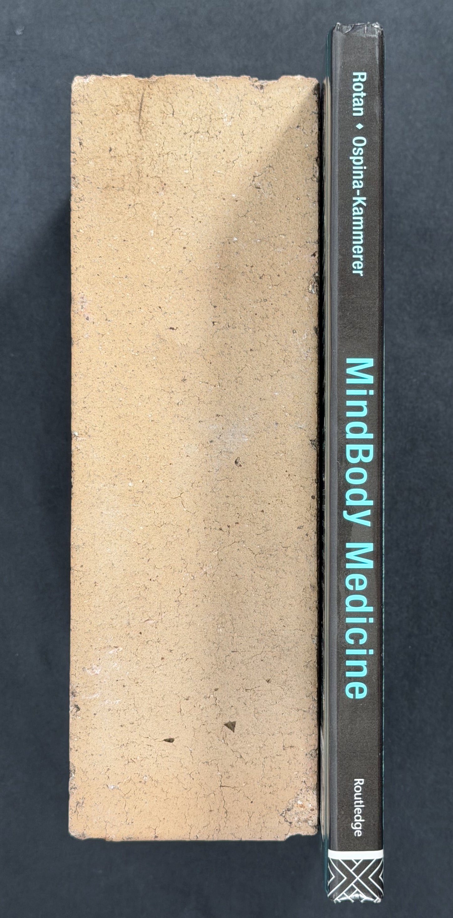 MindBody Medicine by Leo W. Rotan, Veronika Ospina-Kammerer