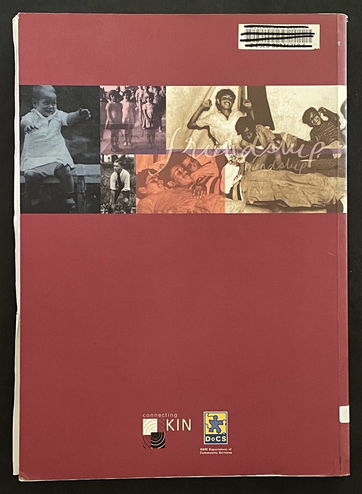 Connecting Kin by Kristy Thinee, Tracy Bradford