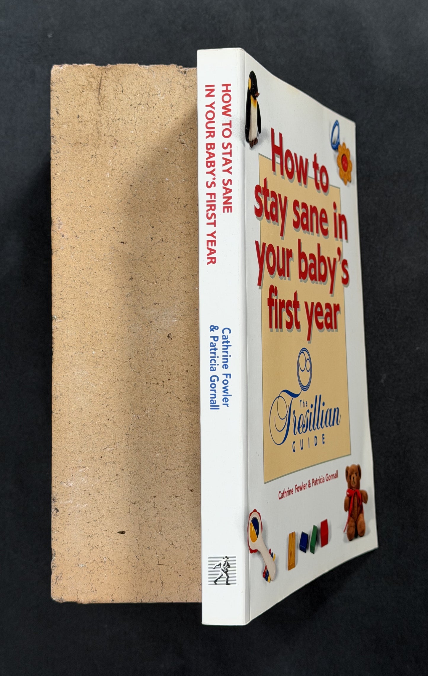 How to Stay Sane in Your Baby's First Year by Cathrine Fowler, Patricia Gornall